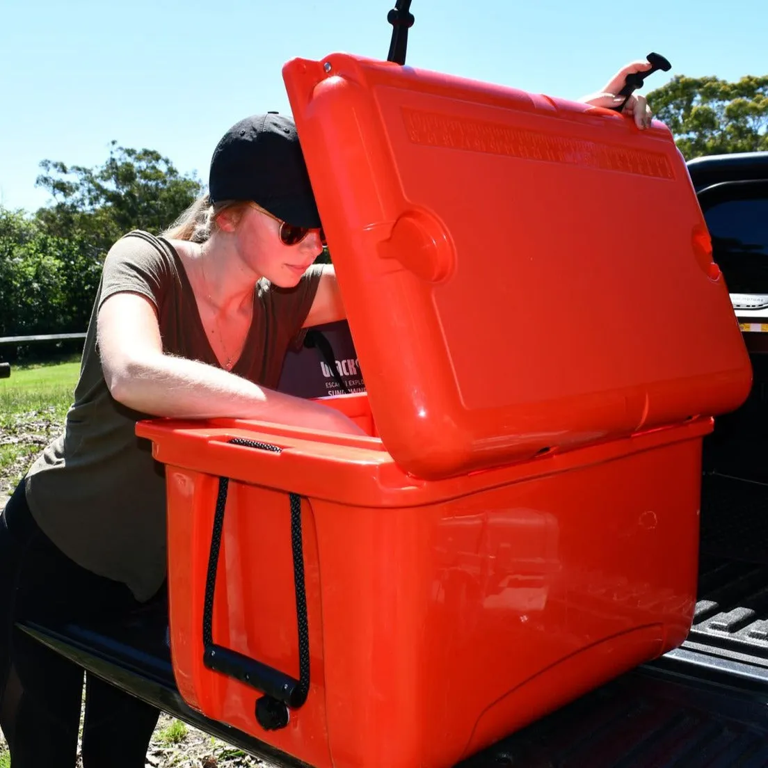 BlackWolf 65 Hardside Cooler