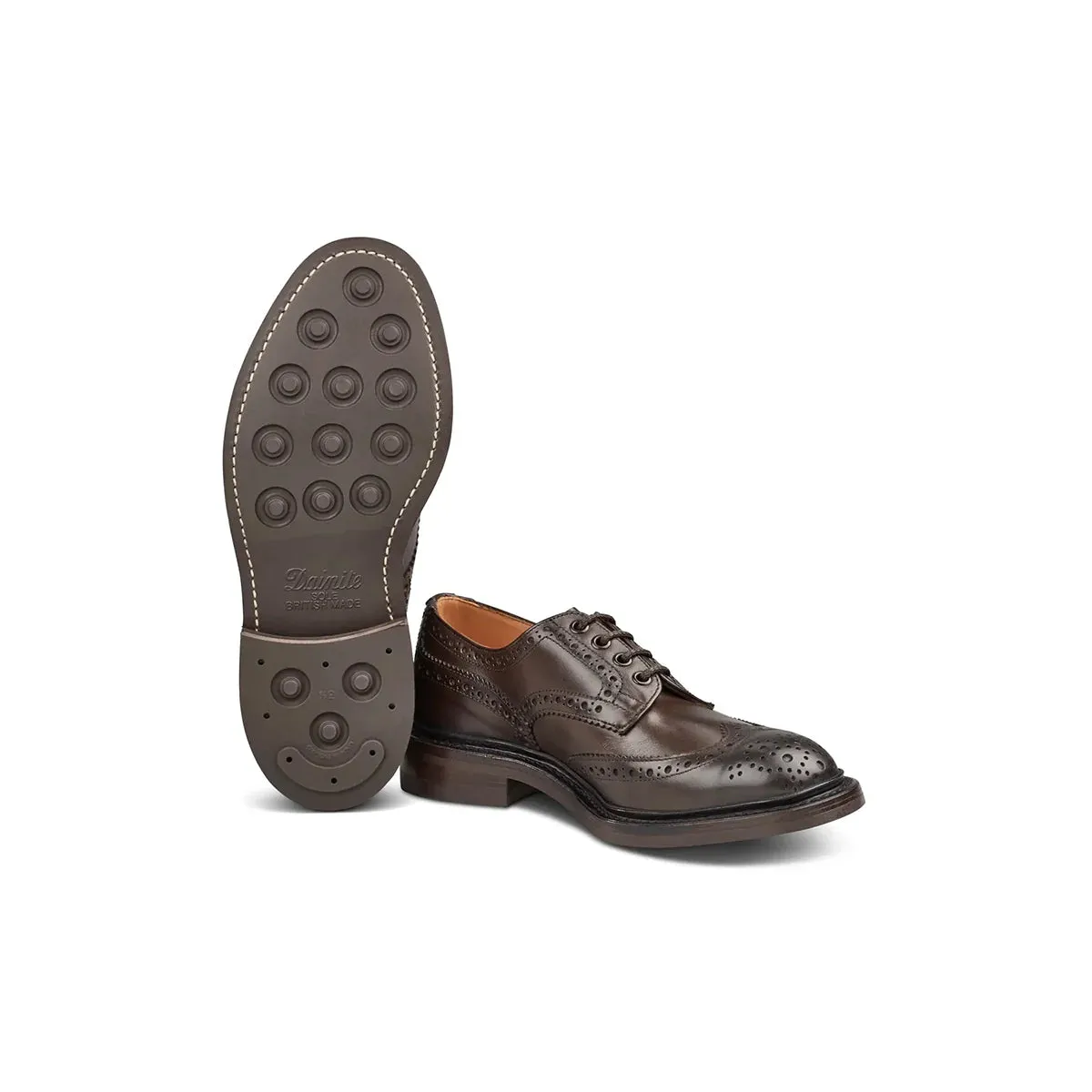 Bourton Brogue - Espresso