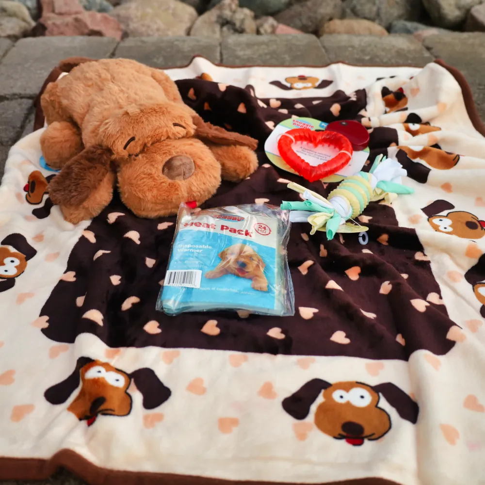 Comfortable Beginnings New Puppy Starter Kit