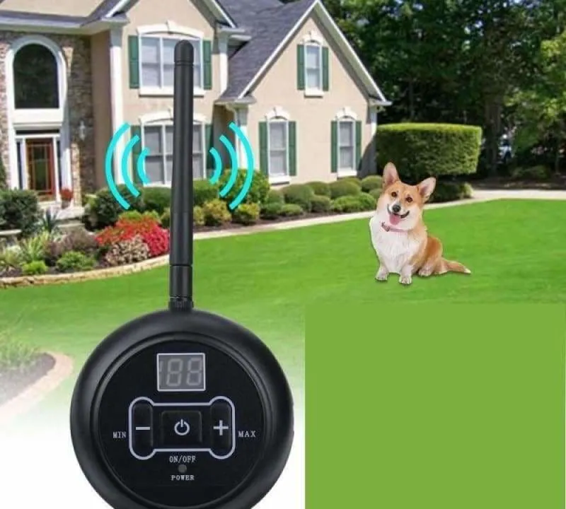 Electric Wirless Dog Fence