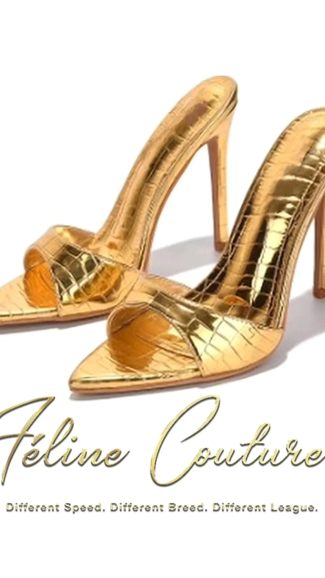 FIFTEEN MINUTES OF FAME HEELS