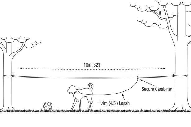 PET TETHERING LEASH SYSTEM