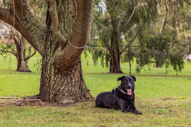 PET TETHERING LEASH SYSTEM